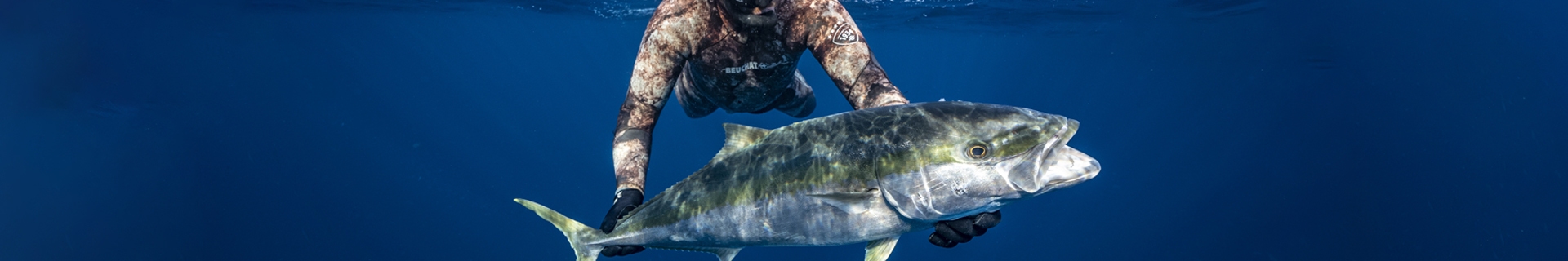 Diving